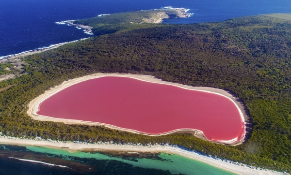 Lac Rose